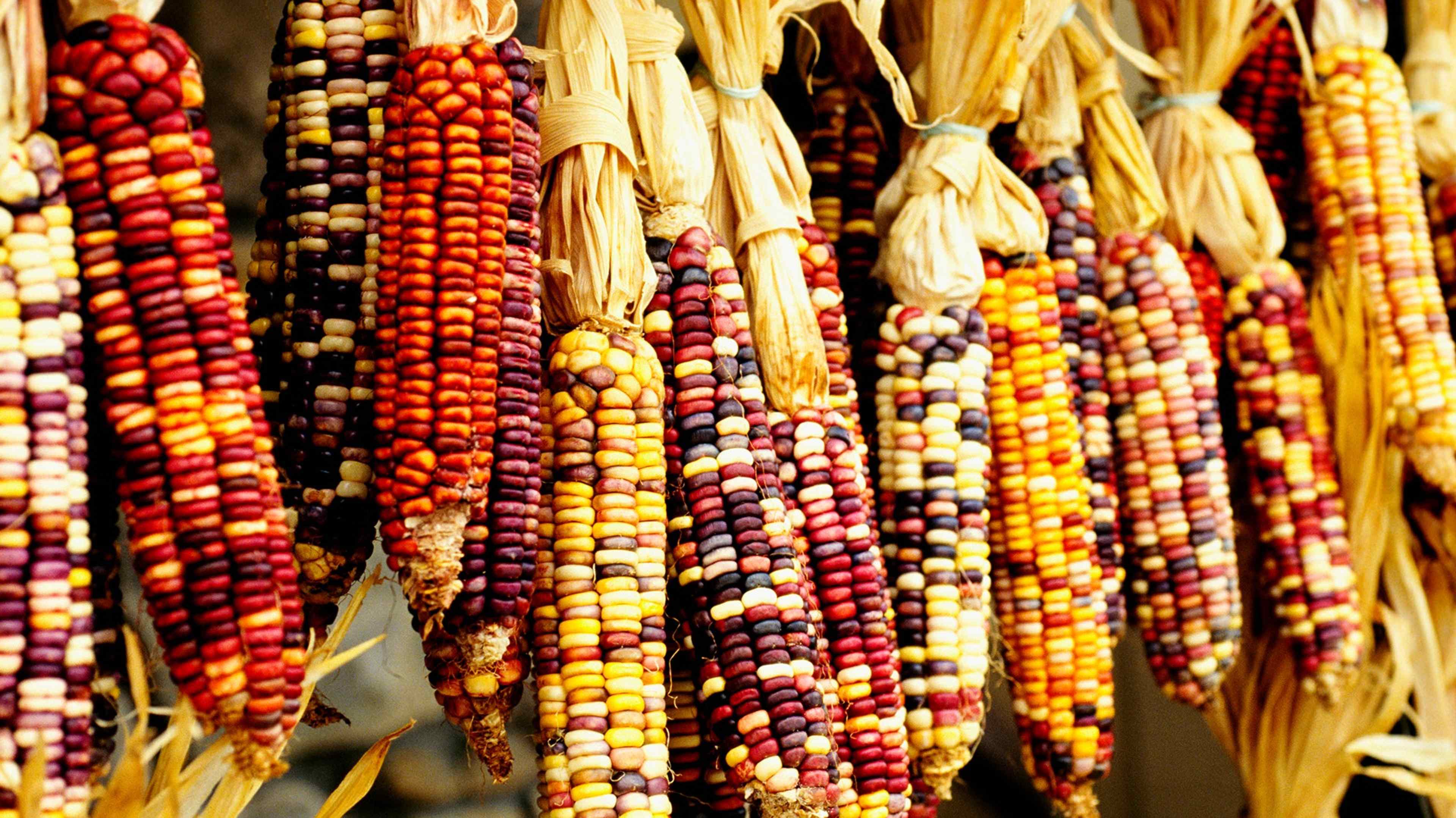 7 Common Foods Eaten in the 13 Colonies 3
