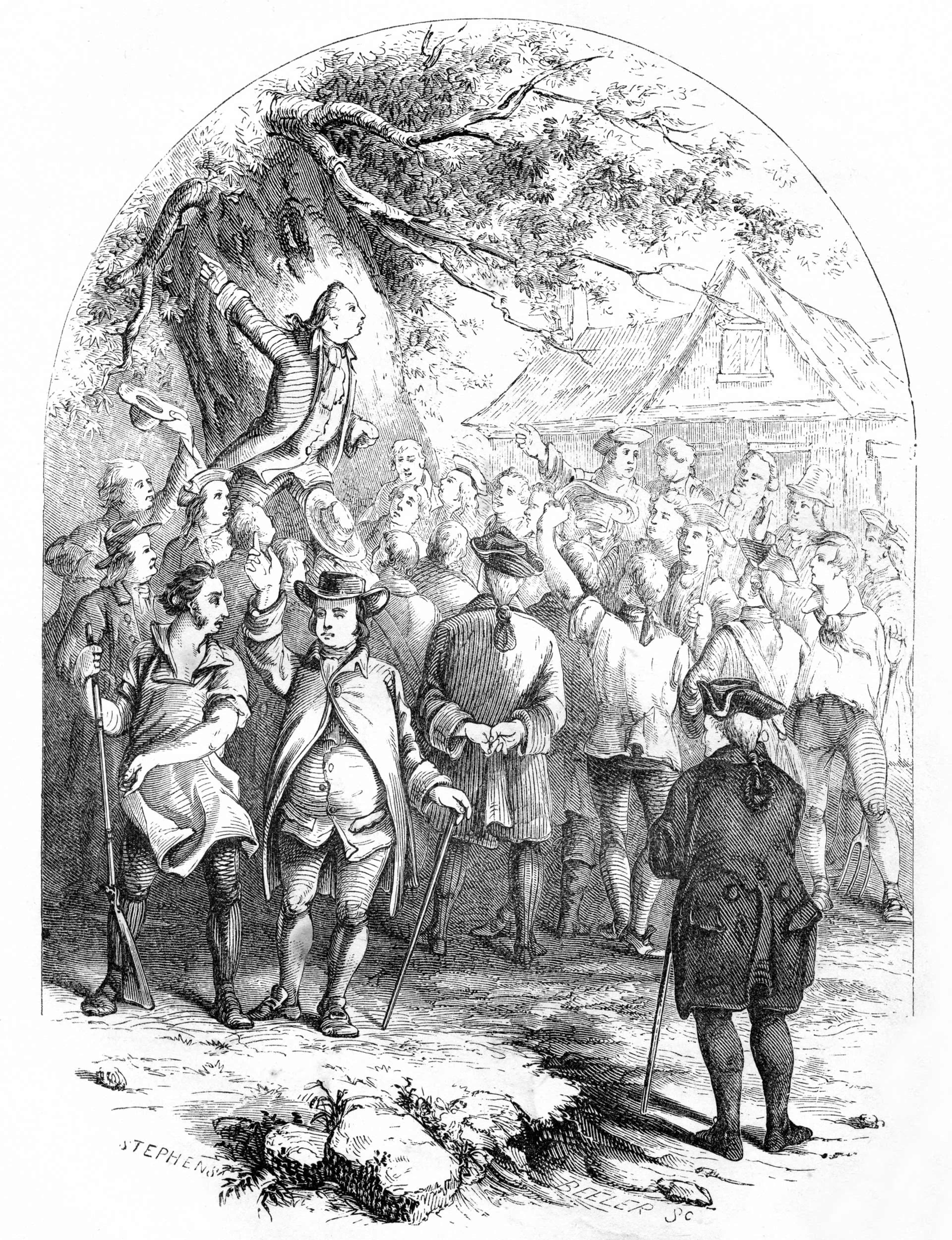 Why ‘Liberty Trees’ Became an Obsession After the Revolutionary War 2