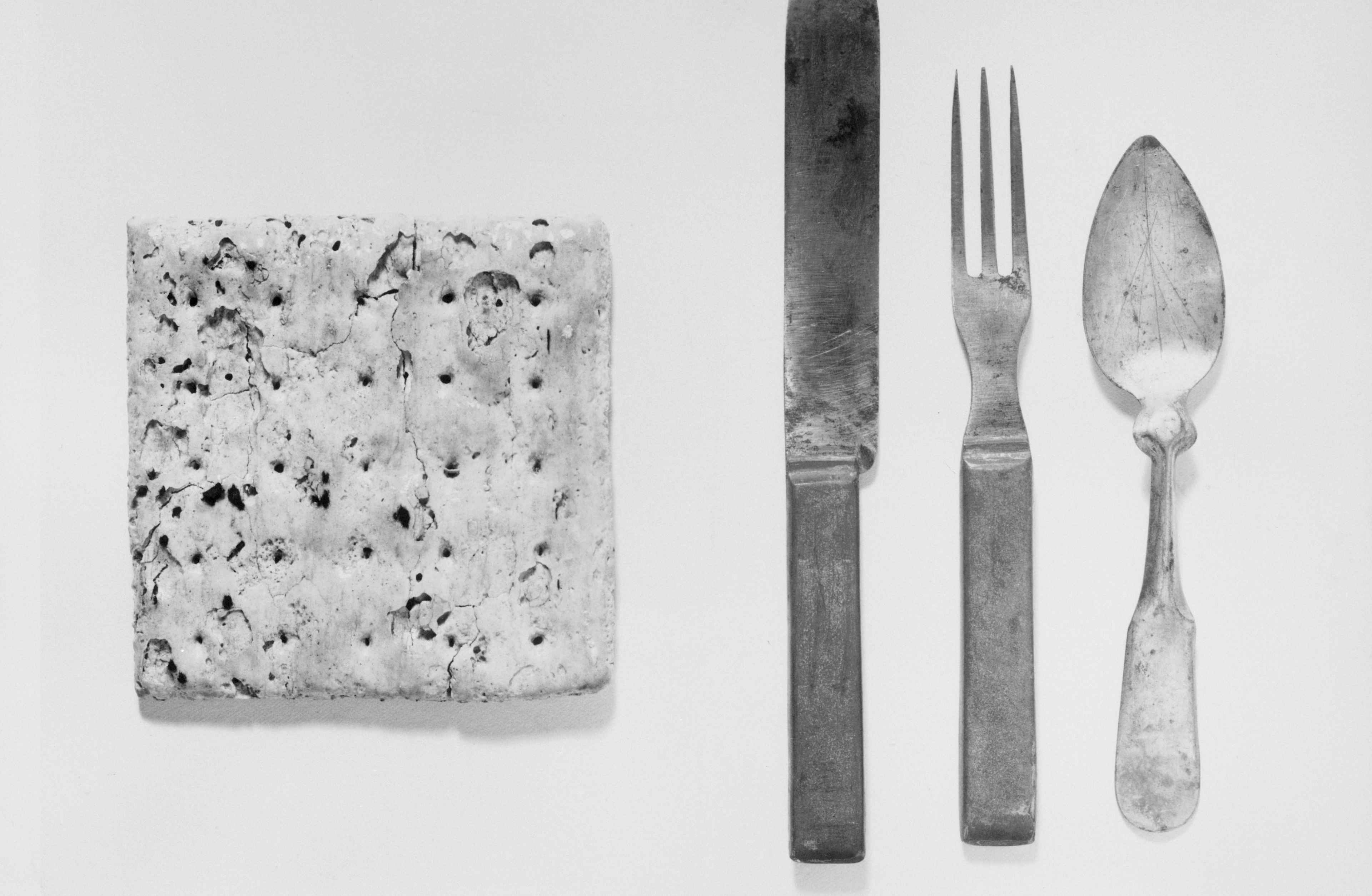 Salisbury Steak's Surprising Civil War Origins 3
